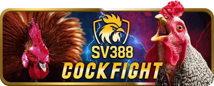 Biểu ngữ khuyến mãi hoàn trả hàng tuần cho cá cược thể thao 788win code
